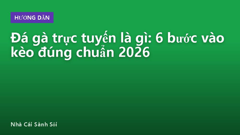Đá gà trực tuyến là gì: 6 bước vào kèo đúng chuẩn 2026